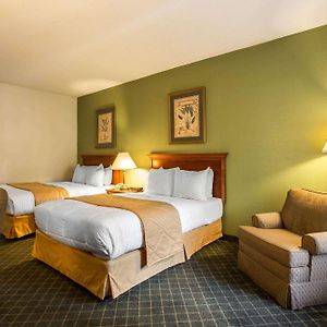 Double Room Two Double Beds Non-Smoking